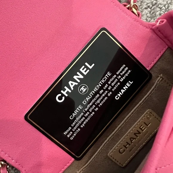 CHANEL Pink Crossbody Bag with Gold-Tone Closure - Picture 3 of 9